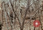 Image of 7th Infantry Division soldiers Korea, 1968, second 43 stock footage video 65675043558