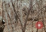 Image of 7th Infantry Division soldiers Korea, 1968, second 44 stock footage video 65675043558