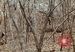 Image of 7th Infantry Division soldiers Korea, 1968, second 45 stock footage video 65675043558