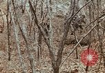 Image of 7th Infantry Division soldiers Korea, 1968, second 46 stock footage video 65675043558