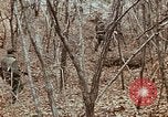 Image of 7th Infantry Division soldiers Korea, 1968, second 49 stock footage video 65675043558