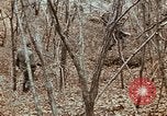 Image of 7th Infantry Division soldiers Korea, 1968, second 50 stock footage video 65675043558