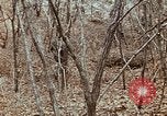Image of 7th Infantry Division soldiers Korea, 1968, second 52 stock footage video 65675043558