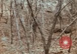 Image of 7th Infantry Division soldiers Korea, 1968, second 53 stock footage video 65675043558