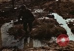 Image of 7th Infantry Division soldiers Korea, 1968, second 40 stock footage video 65675043559