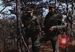 Image of 7th Infantry Division soldiers Korea, 1968, second 20 stock footage video 65675043560