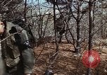 Image of 7th Infantry Division soldiers Korea, 1968, second 48 stock footage video 65675043560