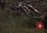 Standbild C-130 Hercules Vietnam, 1970, aus Sekunde 51 historischem Filmmaterial Videoclip 65675043569