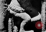 Immagine di Templi Cambogia, 1945, secondo 48 filmato di repertorio 65675043572