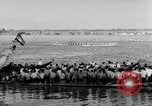 Image Boat Race Phnom Penh Cambodge, 1957, de la seconde 8 séquences d'archives historiques vidéo 65675043576