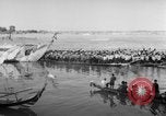 Image Boat Race Phnom Penh Cambodge, 1957, de la seconde 16 séquences d'archives historiques vidéo 65675043576