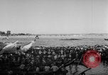 Image Boat Race Phnom Penh Cambodge, 1957, de la seconde 60 séquences d'archives historiques vidéo 65675043576