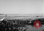 Image Boat Race Phnom Penh Cambodge, 1957, de la seconde 62 séquences d'archives historiques vidéo 65675043576