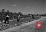 Immagine di Autostrada costruzione Il Vietnam, 1957, secondo 6 filmato di repertorio 65675043578