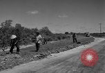 Immagine di Autostrada costruzione Il Vietnam, 1957, secondo 9 filmato di repertorio 65675043578