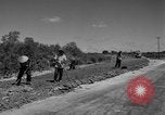 Immagine di Autostrada costruzione Il Vietnam, 1957, secondo 11 filmato di repertorio 65675043578