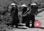 Immagine di Autostrada costruzione Il Vietnam, 1957, secondo 50 filmato di repertorio 65675043578
