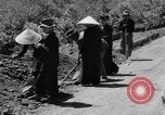 Immagine di Autostrada costruzione Il Vietnam, 1957, secondo 54 filmato di repertorio 65675043578
