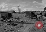 Immagine di Carrello di giovenco abitatori Phnom Penh Cambogia, 1957, secondo 4 filmato di repertorio 65675043579