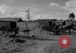Immagine di Carrello di giovenco abitatori Phnom Penh Cambogia, 1957, secondo 9 filmato di repertorio 65675043579