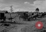 Immagine di Carrello di giovenco abitatori Phnom Penh Cambogia, 1957, secondo 11 filmato di repertorio 65675043579