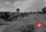 Immagine di Carrello di giovenco abitatori Phnom Penh Cambogia, 1957, secondo 18 filmato di repertorio 65675043579
