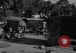Immagine di Carrello di giovenco abitatori Phnom Penh Cambogia, 1957, secondo 37 filmato di repertorio 65675043579