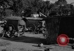 Immagine di Carrello di giovenco abitatori Phnom Penh Cambogia, 1957, secondo 38 filmato di repertorio 65675043579