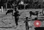 Immagine di Carrello di giovenco abitatori Phnom Penh Cambogia, 1957, secondo 50 filmato di repertorio 65675043579