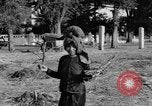 Immagine di Carrello di giovenco abitatori Phnom Penh Cambogia, 1957, secondo 53 filmato di repertorio 65675043579