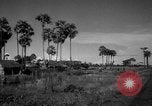 Image Street scene Phnom Penh Cambodge, 1957, de la seconde 51 séquences d'archives historiques vidéo 65675043582