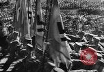 Image of Disarmament treaties before World War 2 Washington DC USA, 1942, second 45 stock footage video 65675043615
