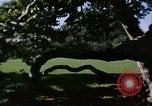 Image of Monuments Washington DC USA, 1968, second 1 stock footage video 65675043625