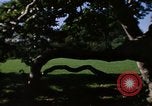 Image of Monuments Washington DC USA, 1968, second 3 stock footage video 65675043625