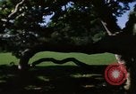 Image of Monuments Washington DC USA, 1968, second 4 stock footage video 65675043625