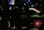 Image of Monuments Washington DC USA, 1968, second 7 stock footage video 65675043625
