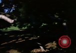 Image of Monuments Washington DC USA, 1968, second 9 stock footage video 65675043625