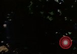Image of Monuments Washington DC USA, 1968, second 11 stock footage video 65675043625