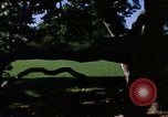 Image of Monuments Washington DC USA, 1968, second 18 stock footage video 65675043625