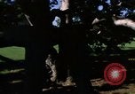 Image of Monuments Washington DC USA, 1968, second 22 stock footage video 65675043625
