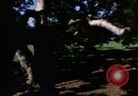 Image of Monuments Washington DC USA, 1968, second 23 stock footage video 65675043625