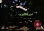 Image of Monuments Washington DC USA, 1968, second 24 stock footage video 65675043625