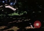 Image of Monuments Washington DC USA, 1968, second 25 stock footage video 65675043625