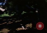 Image of Monuments Washington DC USA, 1968, second 26 stock footage video 65675043625