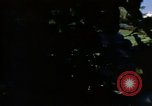 Image of Monuments Washington DC USA, 1968, second 29 stock footage video 65675043625