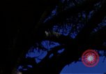 Image of Monuments Washington DC USA, 1968, second 32 stock footage video 65675043626