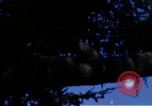 Image of Monuments Washington DC USA, 1968, second 34 stock footage video 65675043626