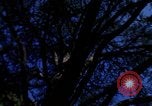 Image of Monuments Washington DC USA, 1968, second 39 stock footage video 65675043626
