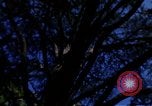 Image of Monuments Washington DC USA, 1968, second 40 stock footage video 65675043626