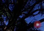 Image of Monuments Washington DC USA, 1968, second 42 stock footage video 65675043626